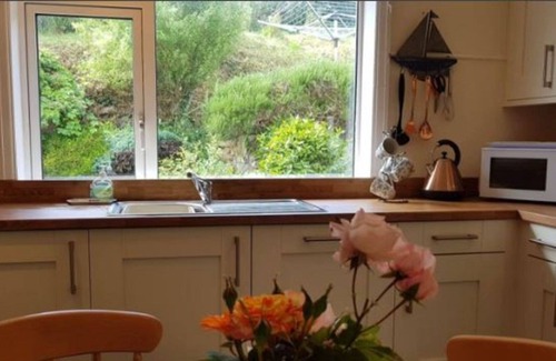 Padstow House | Seagulls, Porthcothan Bay