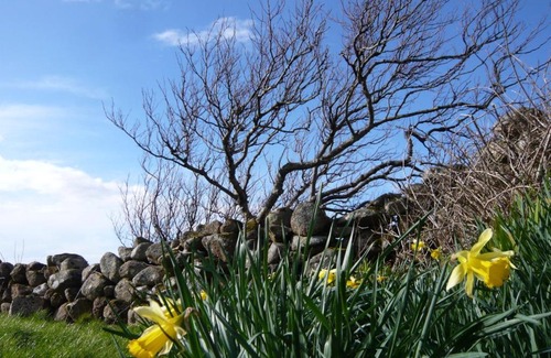 Dungloe House | Seal Cottage Glashbeggan