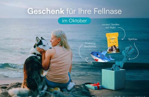 Olpenitz Apartment | SeaLove 2- EG, barrierearm, Hafenblick, Terrasse, Hund, Infrarotsauna