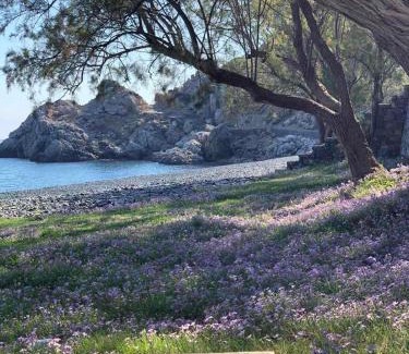 Emporios Apartment | Seaside Apartments