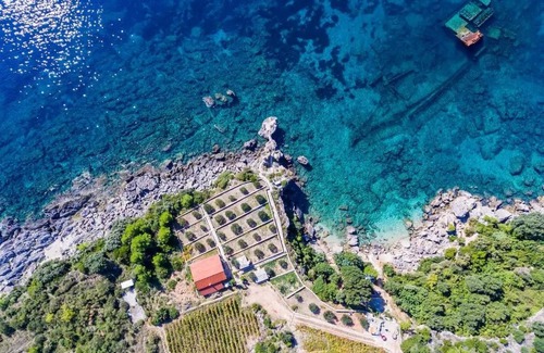 Postup House | Seaside house for families with children Postup, Peljesac - 20849