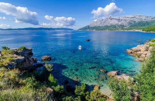 Postup House | Seaside house for families with children Postup, Peljesac - 20849
