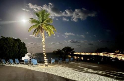 Tavernier Apartment | Seaside Serenity, Brand New 2 Bed 2 Bath Pool Beach Area, Tennis Pickleball 2024 Remodel
