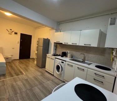 Mamaia-Sat Apartment | Seaside Studio