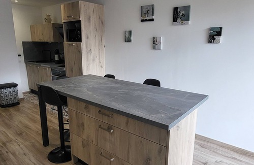 Orcieres Apartment | SEASONAL RENTAL RENOVATED STUDIO 35M2 IN ORCIÈRES