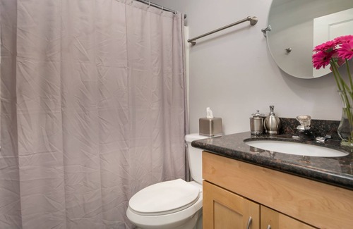 Mann Apartment | Seattle Vacation Home: Thomas Lodge "Philly" - Bright 1 Bed/1 Bath