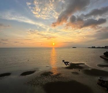 Taman Haji Zainal Apartment | Seaview Paradise Penthouse @PortDickson (1Bedroom)