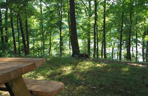 Glouster House | Secluded 5 BR brick ranch with a panoramic view of the lake through the trees