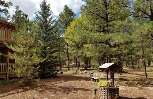 Timberland Acres Cabin | SECLUDED! Cabin @ JUNIPER RIDGE - WIFI/DOG FRIENDLY