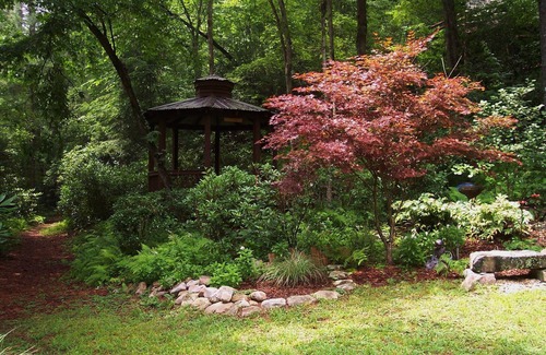 Cherry Log Cabin | Secluded Cabin - Mountain Views with Nature Trail Along River