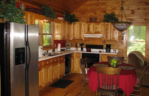 Blue Ridge Cabin | Secluded Cabin Right on the Ellijay River minutes from Ellijay or Blue Ridge