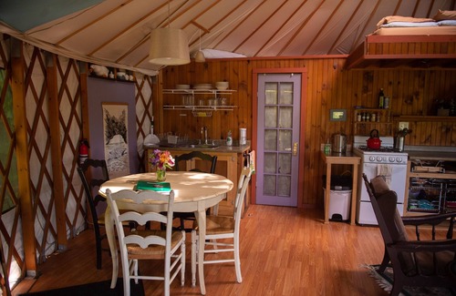 Trumansburg Cabin | Secluded, Clean Yurt, Retreat on a Forest Farm
