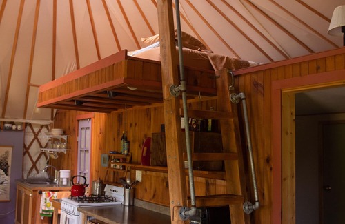 Trumansburg Cabin | Secluded, Clean Yurt, Retreat on a Forest Farm