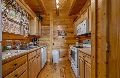 Black Bear Falls Cabin | Secluded Cozy 2BR Gatlinburg Real Log Cabin with Private Hot Tub