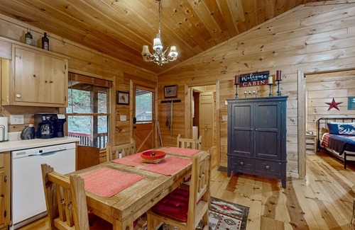 Blue Ridge Cabin | Secluded Dog-Friendly Cabin w/Deck, Private Hot Tub, Firepit, & Wood Fireplace