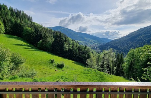 Radenthein Apartment | Secluded location in the middle of nature