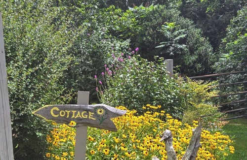 Hendersonville Cottage | Secluded Treasure by the Woods in Apple Country