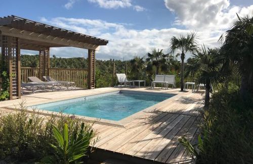 North Palmetto Point House | See Sea home