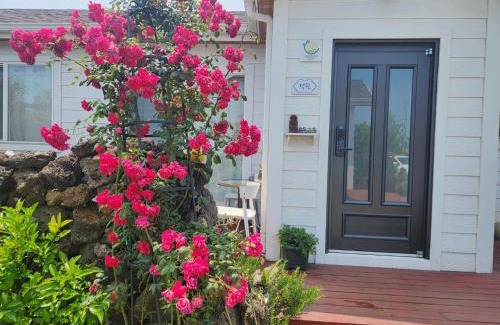 Gujwa House | Sehwa Stay