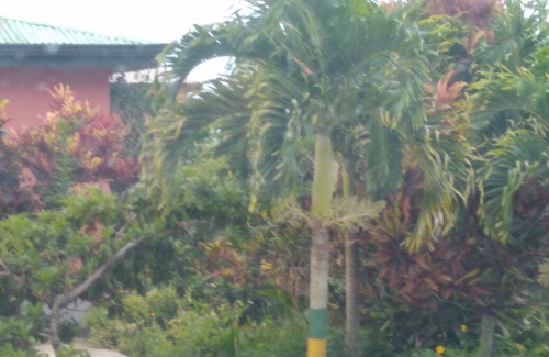 Mandeville Bed & Breakfast | Sekhmet Healing Retreat