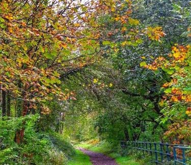 Port Talbot House | Selah Cottage, 21 Queen Street