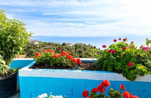 Lukove Apartment | Selami Sea View Apartments