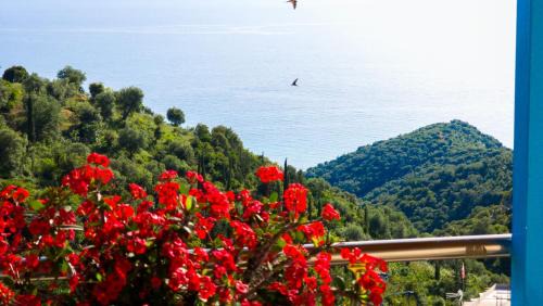 Lukove Apartment | Selami Sea View Apartments