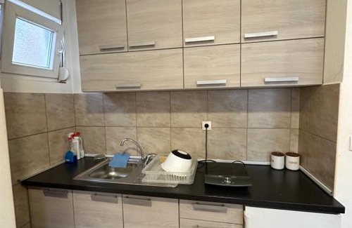 Podgorica Apartment | Selena apartment
