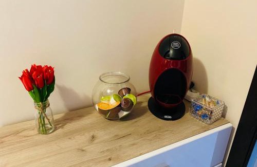Carei Apartment | SELLADA APARTAMENT - Free Private Parking,AC,Wi-Fi