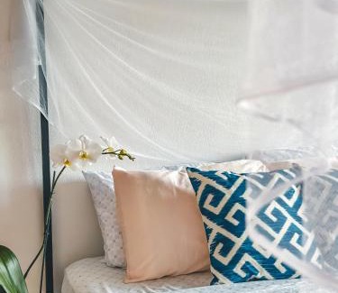 Cahuita Apartment | Selva Madre Eco-Sanctuary