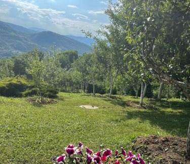 Semizovac Villa | Semizovac Holiday House