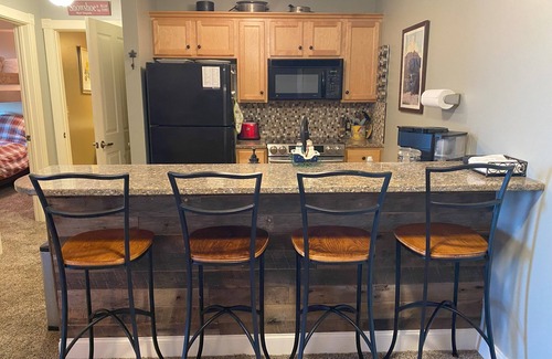 Snowshoe Apartment | Seneca Lodge in Snowshoe Village - Steps to Ski Slopes