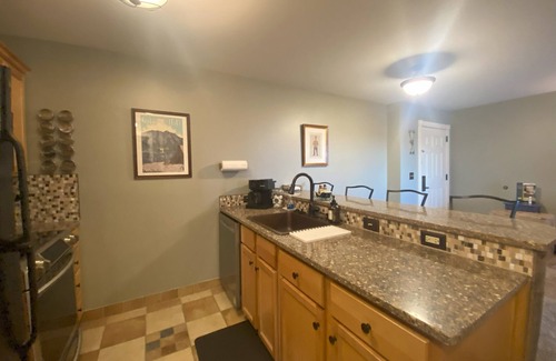 Snowshoe Apartment | Seneca Lodge in Snowshoe Village - Steps to Ski Slopes