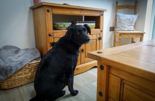 Sennen Cove Apartment | Sennen Cove Retreat