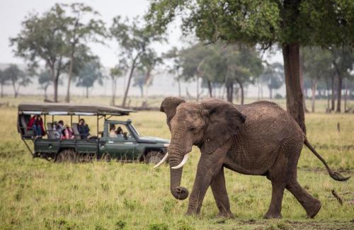 Maasai Mara Other | Sentinel Mara Camp