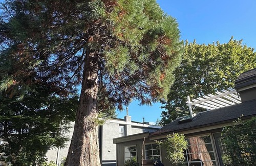 Pemberton Heights House | Sequoia House Capilano Cypress Mountain near Downtown located - North Vancouver