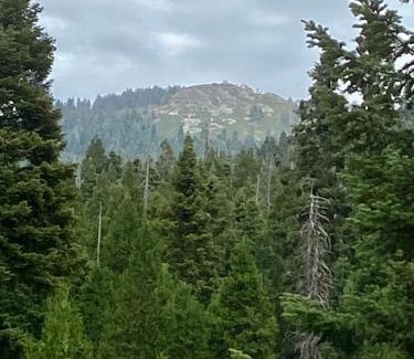 Posey House | Sequoia National Forest CabinK