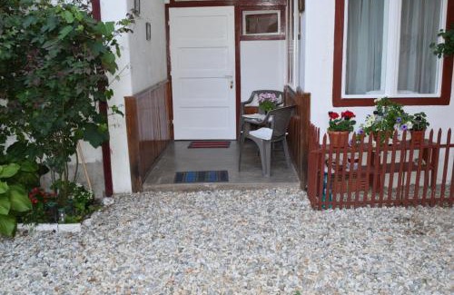 Historic Center Apartment | Serb Rafila