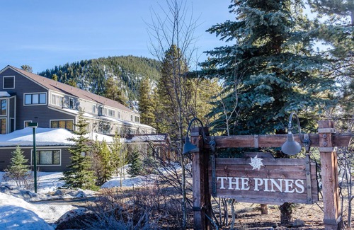 Keystone Condo | Serene Condo Surrounded by Nature, 5-Min Drive to Ski Village. PET FRIENDLY!