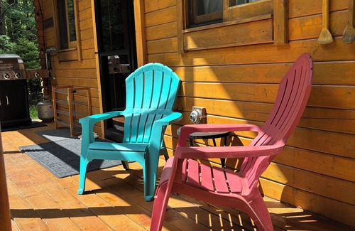 Wells Cottage | Serene Cottage Escape in Wells, NY ADK Peace, Pines & Possibility. Dogs Welcome!