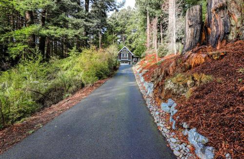 Arcata Hotel | Serene Redwood Retreat