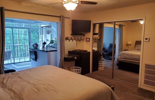 Lutz Apartment | Serene Sensuality #307S