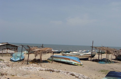 Mannar District House | Serene Tropical Paradise: Your Dream Vacation Home in Northern, Sri Lanka!