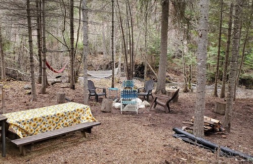 Lakeside Cabin | Serene Woodside Cabin: Modern Amenities in Nature