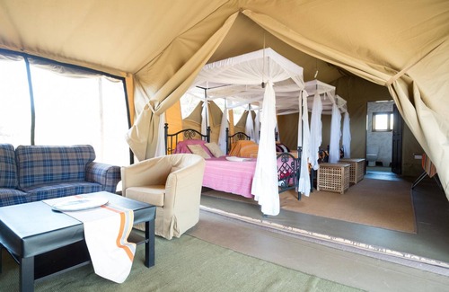Serengeti National Park Other | Serengeti Wildebeest Camp