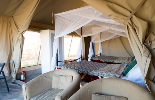 Serengeti National Park Other | Serengeti Wildebeest Camp
