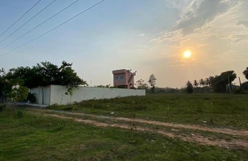 Mylapore Tiruvallikk House | Serenity Farms (haripriya Garden)