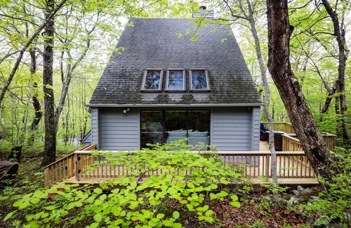 Chestnut Springs Condo | Serenity Slope with Wintergreen Advantage