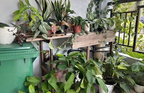 Gua House | Seri Hayzar Homestay