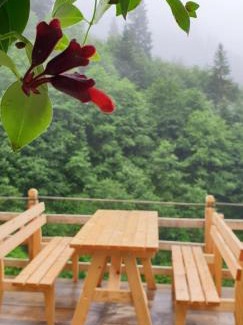 Ayder Hotel | Serinyer Dağ Evi